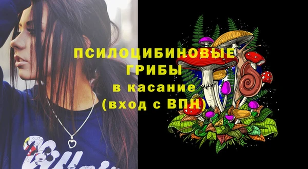 дмт Балахна