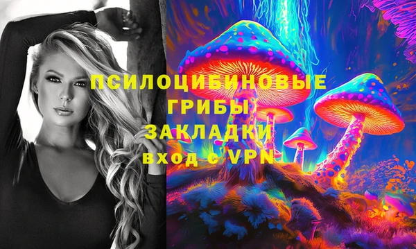 a pvp Белокуриха