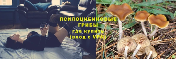 дмт Балахна