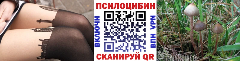 ссылка на мегу как зайти  Горячеводский  Псилоцибиновые грибы мухоморы 